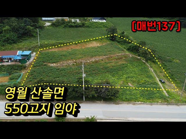 [매번137] 영월임야 표고550 현재 전으로 사용중 2차선변 접근성좋은 임야