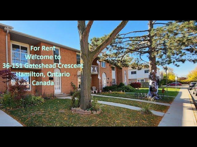 House For Rent - Hamilton, Ontario, Canada