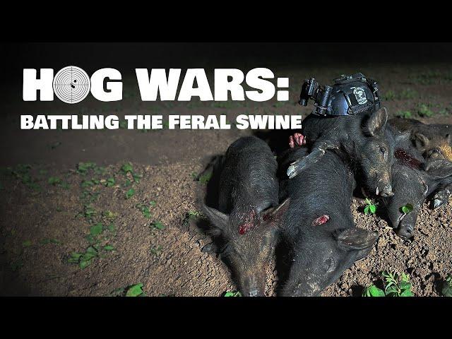 HOG WARS: Battling the Feral Swine