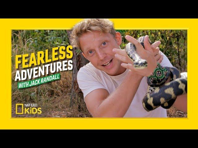 Hunting a Python and Blue-Tongue Lizard | Fearless Adventures with Jack Randall