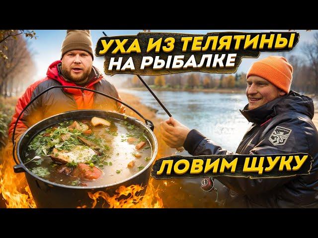 ЛОВИМ ЩУКУ. УХА ИЗ ТЕЛЯТИНЫ НА РЫБАЛКЕ