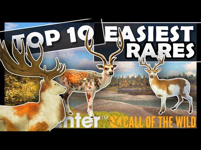 Top 10 EASIEST RARES in Call of the Wild 2024/25!!!