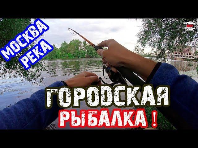 ГОРОДСКАЯ РЫБАЛКА! ЛОВЛЯ НА СПИННИНГ - Москва-река! Отводной поводок