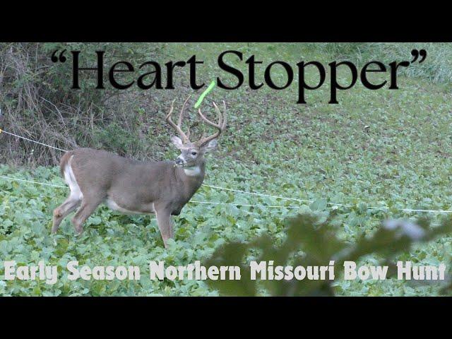 "Heart Stopper"  |  Northern Missouri Bow Hunt  |  Self Filmed Mature Buck Hunt 2024