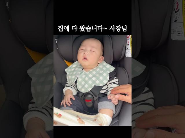 (3만뷰) ㅋㅋ집 다 왔어요 내리셔야 돼요~ 아기 사장님~