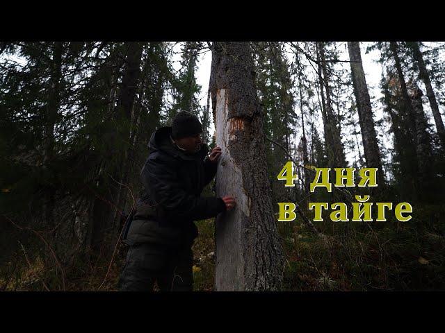 WE LIVE IN A BIRCH HUT. EVERYDAY LIFE AND LIFE IN THE TAIGA. GRAYLING FISHING.