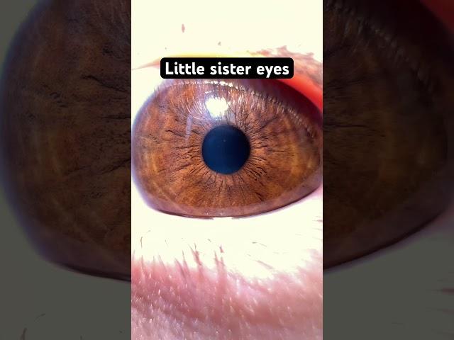 And my mom has plain brown eyes #asian #wasian #america #eyes #hazel #blue #brown #viral