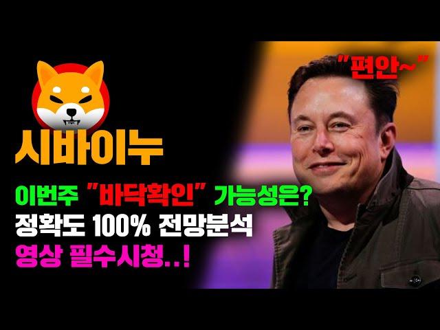 시바이누 [긴급] 정확도 100% 전망분석, 이번주 "바닥확인" 가능성은...? 영상 필수시청 #코인시황