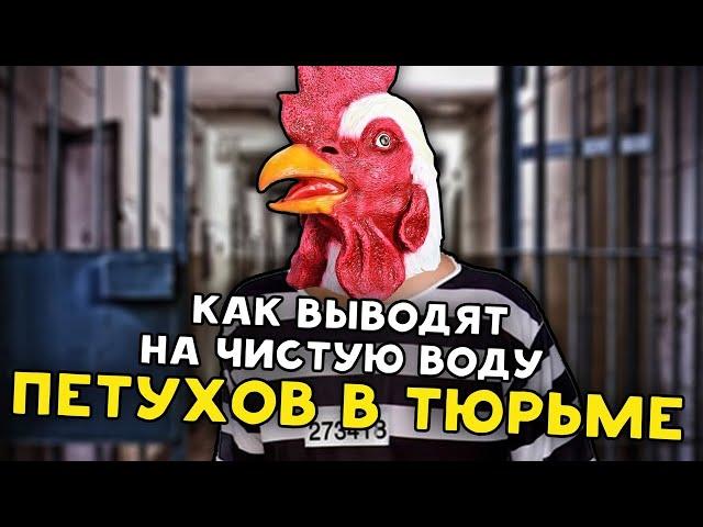 КАК ВЫЧИСЛЯЮТ ПЕТУХОВ В ТЮРЬМЕ / НА ЗОНЕ