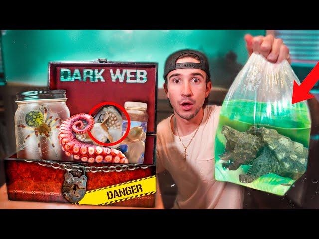 Ordering HAUNTED Live Fish Off The DARK WEB...