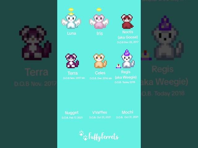 Our ferrets & their birthdays (pixel edition)
