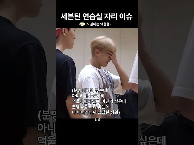 [세븐틴] 내자리 맞는데... 겸억울