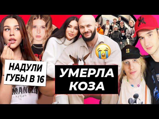 У Джигана и Оксаны умерла коза / Милана и Лера увеличили губы / Хазяева приехали к Плохому парню