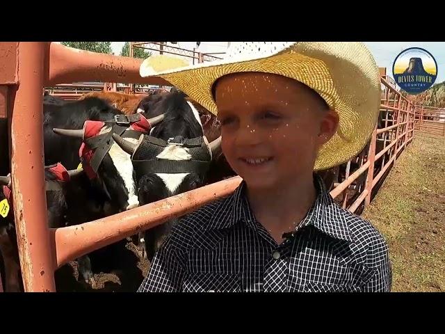 Baze Negaard • Mutton Bustin' • Hulett, Wyoming Rodeo