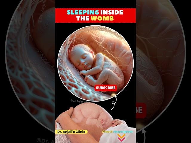 Dreaming in the Womb: A Baby's Quiet Journey