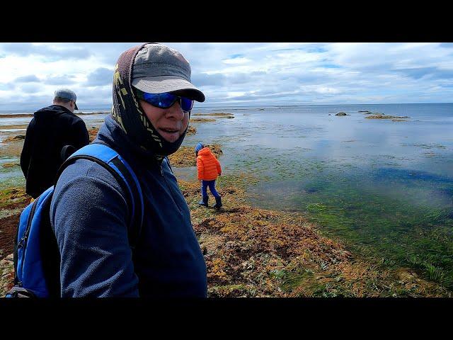 With family at sea. Collecting seaweed.