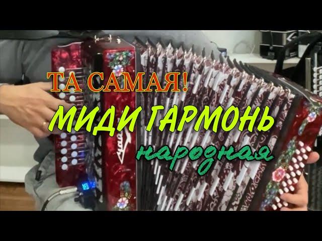 ТА САМАЯ НАРОДНАЯ МИДИ ГАРМОНЬ