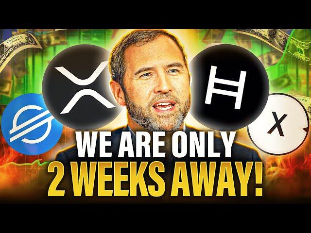 Ripple CEO Just CONFIRMED The "TRUMP" Bull Run | XRP XLM XDC & HBAR