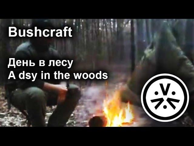  День в лесу / A dsy in the woods