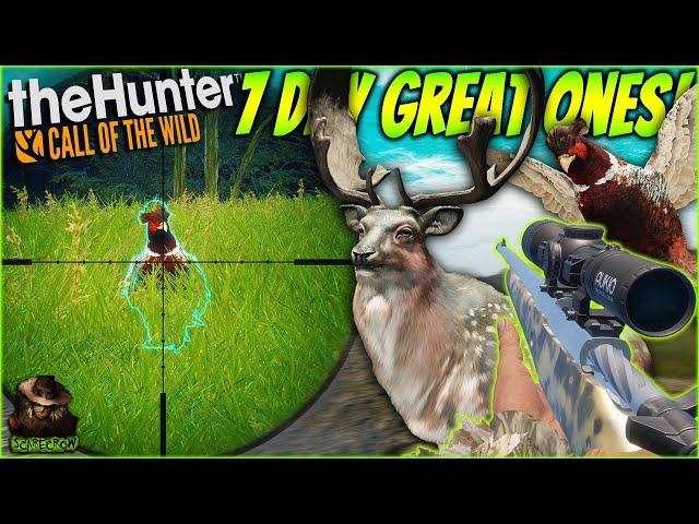 I Hunted Multiple Great Ones For 7 Days And Got INSANE Results! (Fallow & Pheasant) Call of the wild