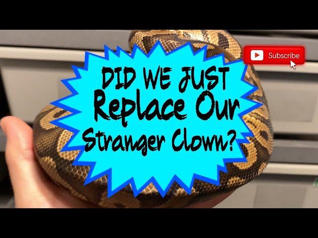 DID OUR STRANGER CLOWN JUST GET REPLACED?!?  ||  INSANE PICKUP AT BLUE LINE MORPHS!!