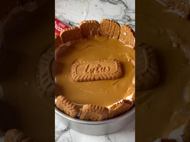 Lotus Biscoff Cheesecake #ytshorts #trending #cheesecake