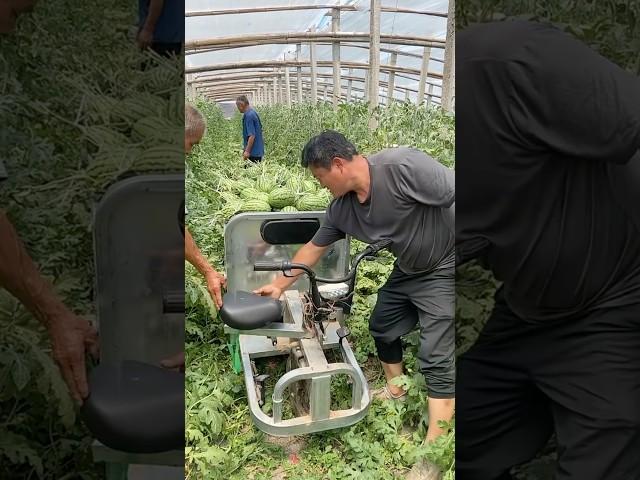 Three-wheel Harvesting Cart With Reversing Capability #farmingmachines @RomFarm