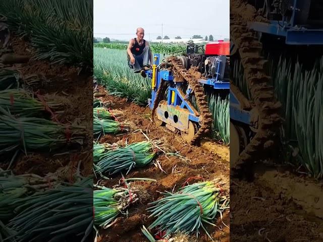 #shorts #agritools #farming2024 #agriculture  #JIKreactionagritools in farming 2024