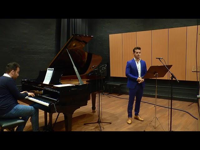 Andrei Venczel and Bogdan Nicola  - Wanderers Nachtlied - Franz Schubert