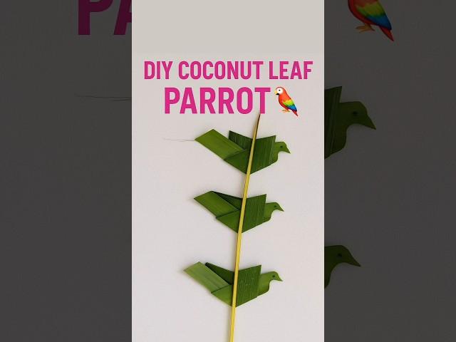 Made This Parrot from Coconut Leaves! 