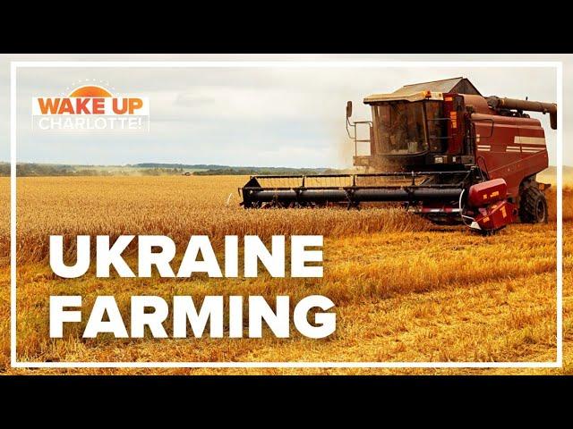 How farming in Ukraine impacts the global market