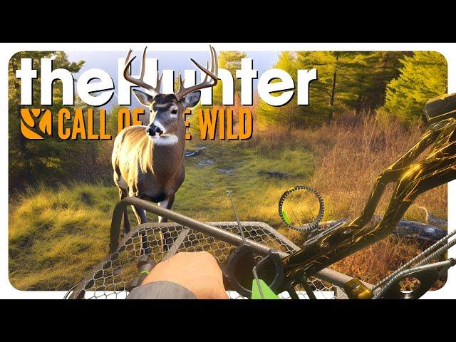 TREETOP TROPHIES: Treestand-Only Challenge! | theHunter: Call of the Wild - Layton Lakes