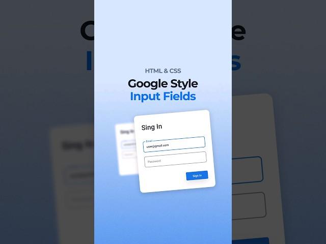 Input Animation HTML & CSS