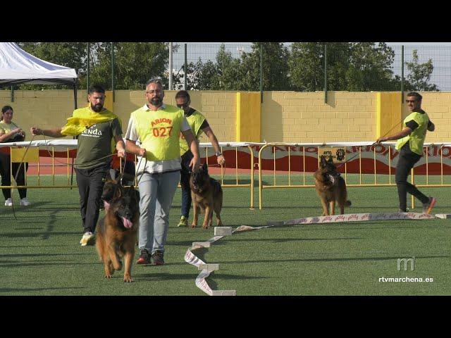 45º Siegerschau Real CEPPA 2024 - Domingo