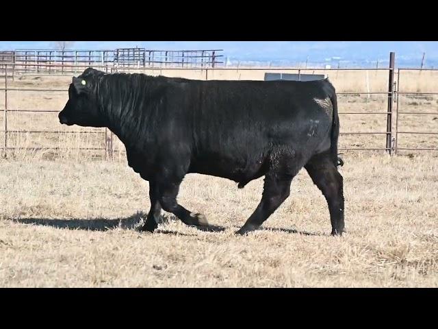 Lot 24   C46