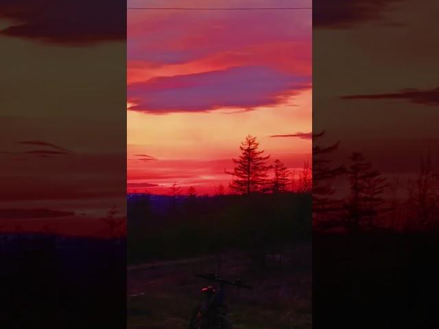 18 мая 2025 г.