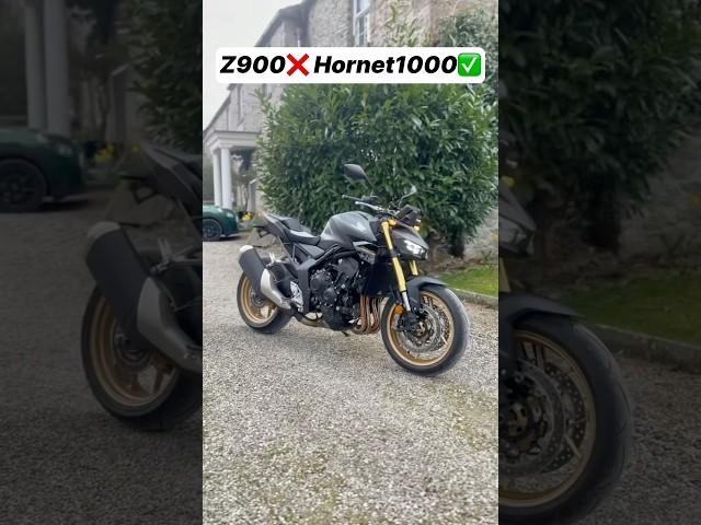 Z900 Hornet 1000 #shorts #z900 #vs #hornet1000 #hondahornet #1000 #shortsvideo #shortsfeed
