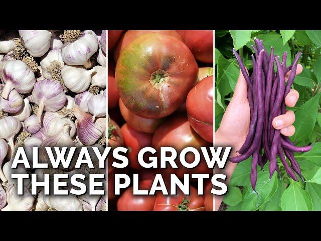 9 Plants You Should ALWAYS Grow