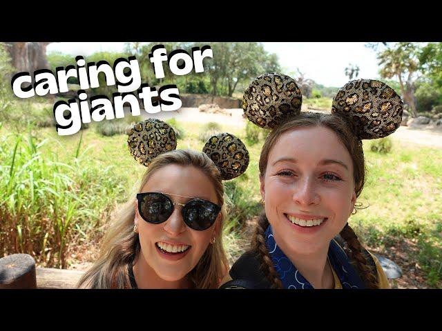 Caring For Giants (Elephant Encounter) | Backstage Tour at Disney's Animal Kingdom