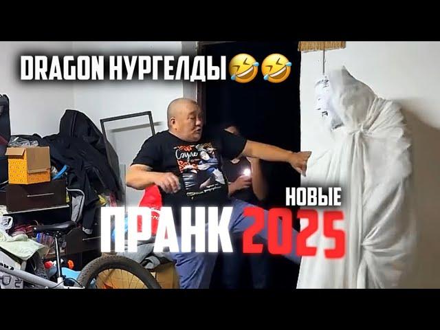  НОВЫЕ СМЕШНЫЕ ПРАНКИ DRAGON KNM НУРГЕЛДЫ | 2025