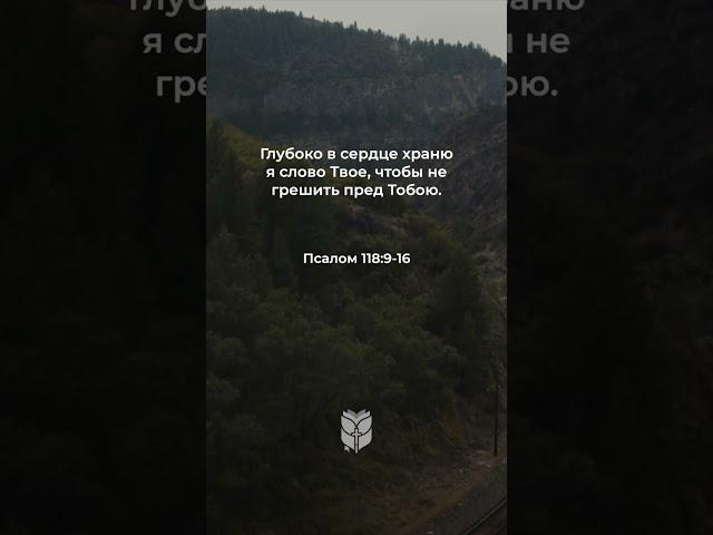 Псалом 118:9-16 в современном переводе #библия #biblevision