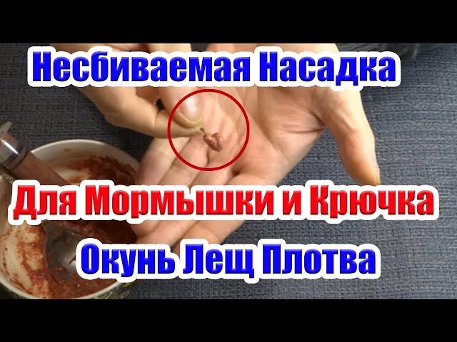 Несбиваемая насадка для Мормышки и Крючка Окунь Плотва Лещ Супер Рыболовная насадка