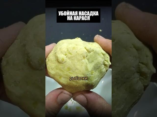 Убойная НАСАДКА на Карася! #рыбалка #шортс