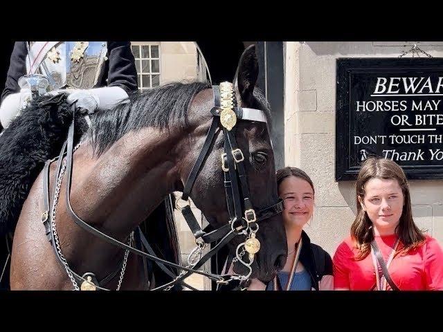 latest from horse guard London!"