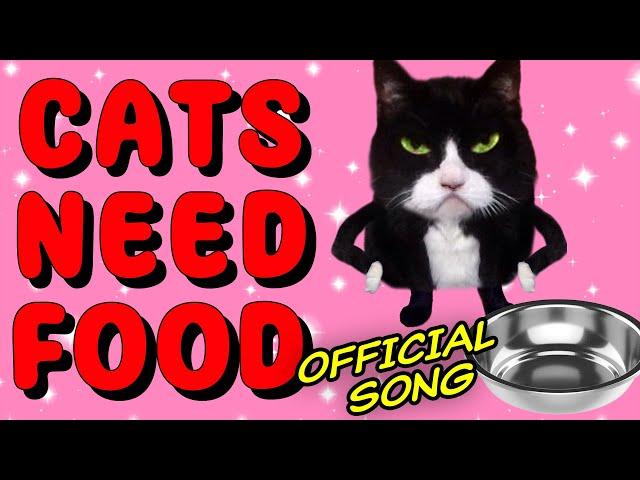 Cats Need Food [Official] Kittycat Song 2