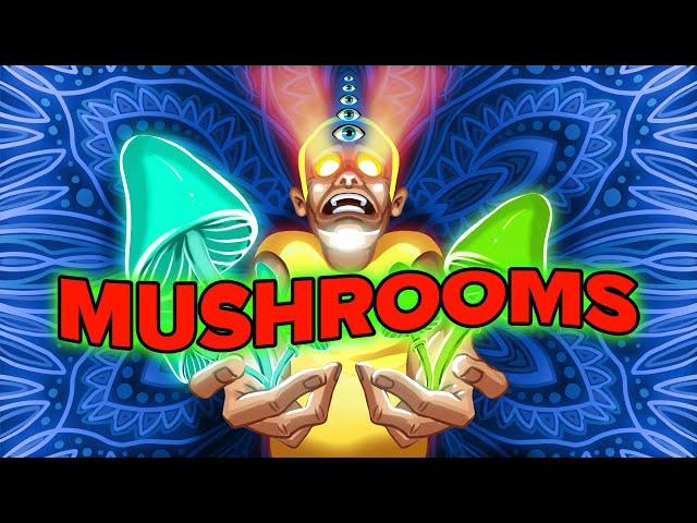 What Happens to Your Body When You Take Mushrooms