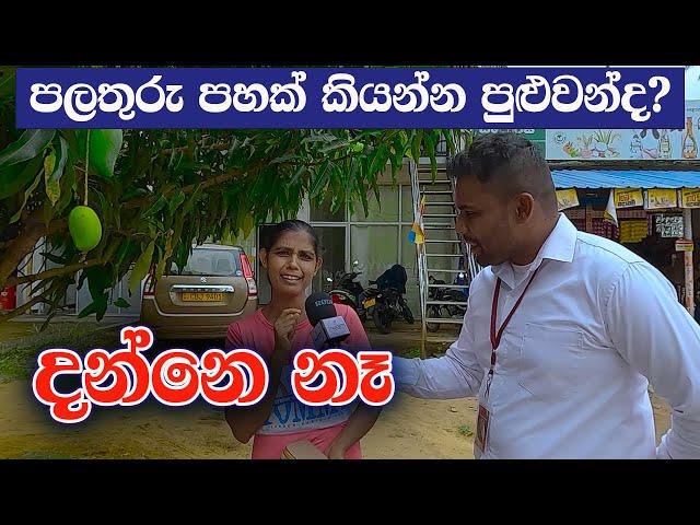 අයන්න අකුරෙන් පලතුරු 5ක් | #Sri_Lanka_Education