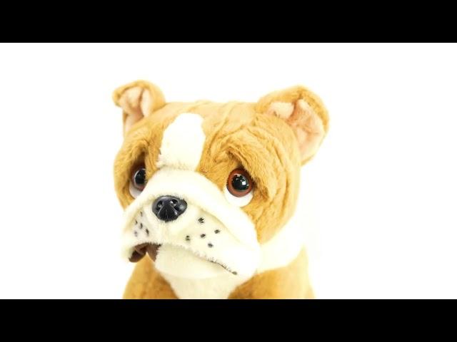 Small Sitting English Bulldog Soft Toy - The Magic Toy Shop