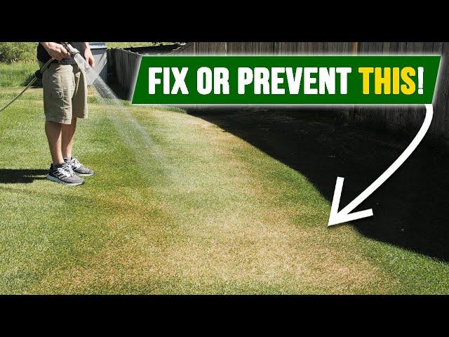 Is Your Lawn Struggling? The SECRET to a Green Lawn All Summer Long