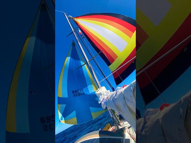 Flying Double spinnaker #sailing #boatlife #boat